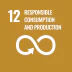 SDG 12