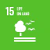 SDG 15