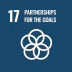 SDG 17